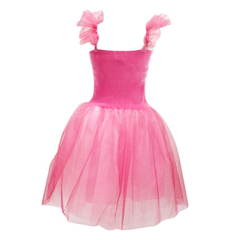 Princess Rose Velvet Dress with Ombre Tulle